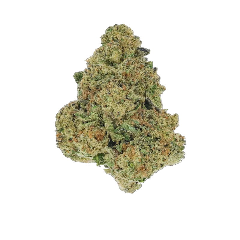 Gusherz - Premium Flower