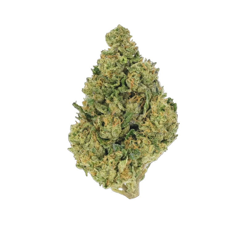 Lemon Cherry Gelato - Premium Flower
