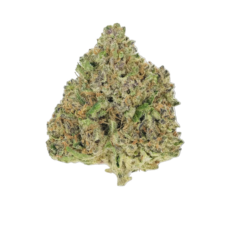 Moonbow - Premium Flower