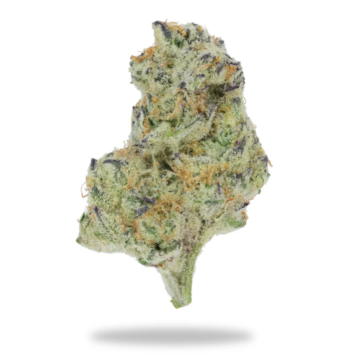 Indoor THCA flower displayed in front of a white background with shadow below.