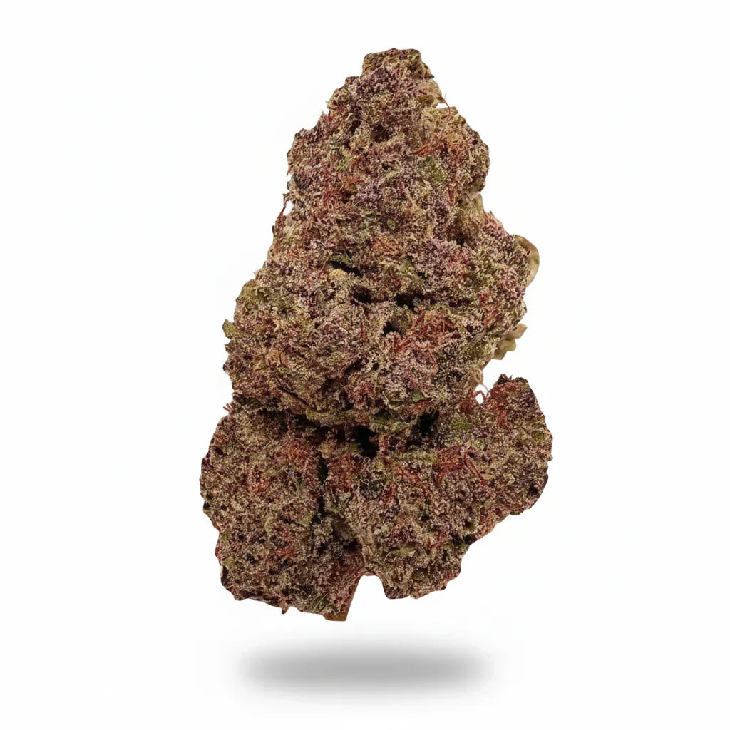 Greenhouse THCA Flower Potency exemplified by a Sativa Supply House THCA Greenhouse Flower displayed in front of a white background with shadow below it.