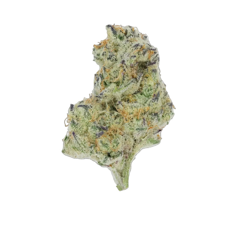 Cap Junky x Chimera - Top Shelf Indoor