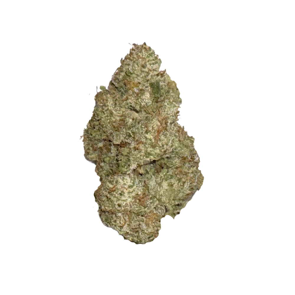 Glitter Bomb - Premium Flower