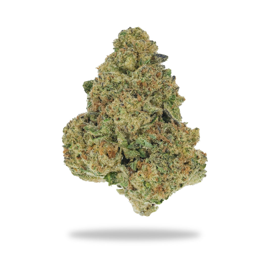 Gusherz - Premium Flower