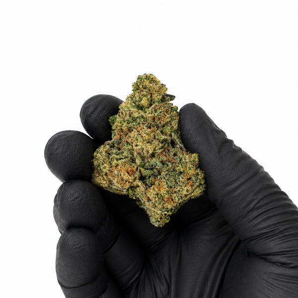 Gusherz - Premium Flower