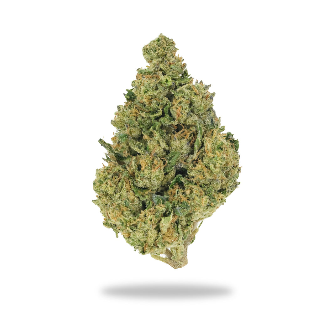 Lemon Cherry Gelato - Premium Flower