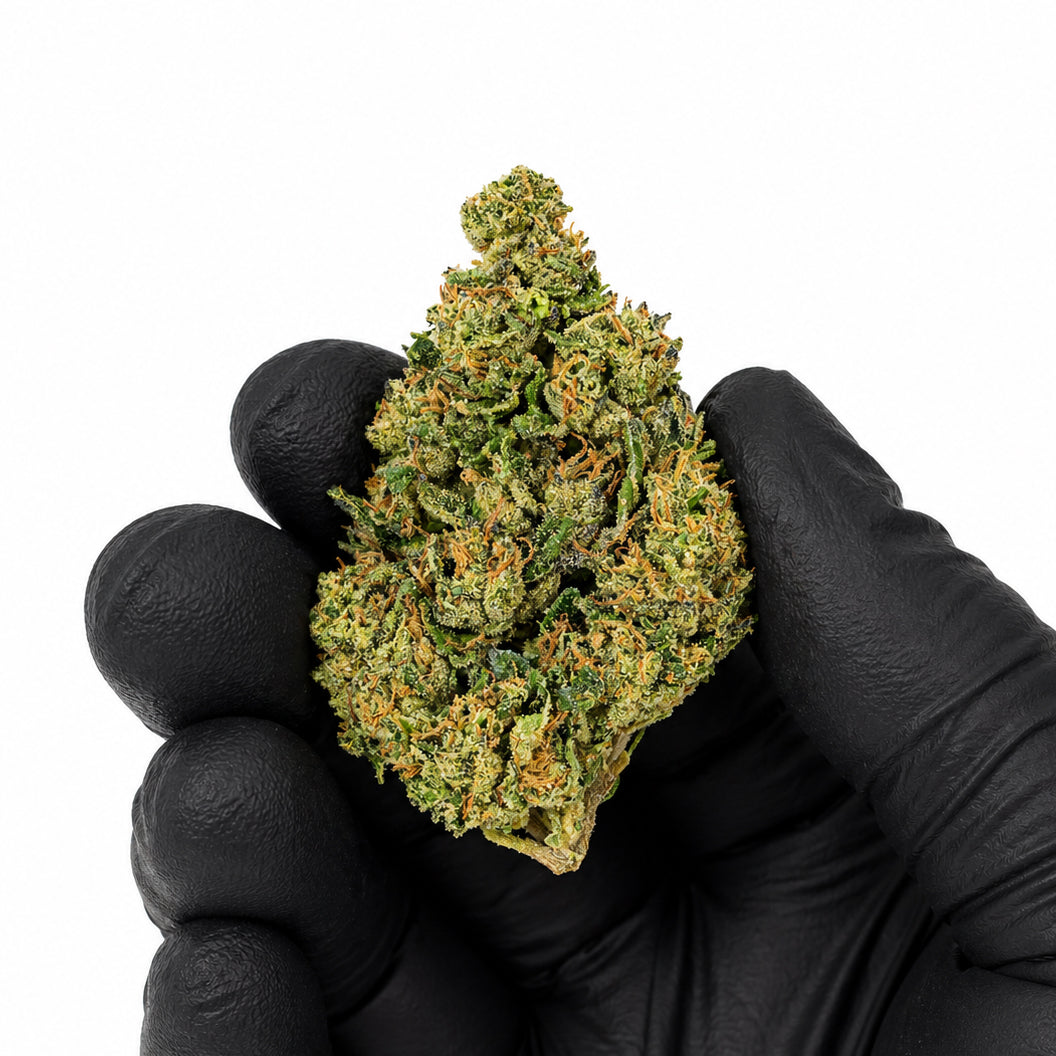 Lemon Cherry Gelato - Premium Flower
