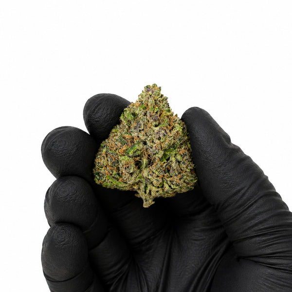 Moonbow - Premium Flower