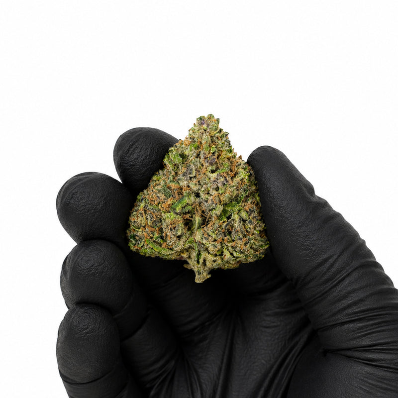 Moonbow - Premium Flower