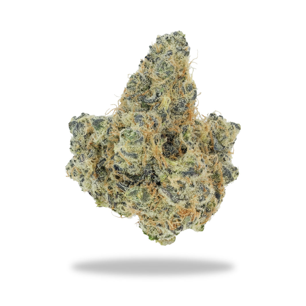 Permanently Tropical - Top Shelf Indoor