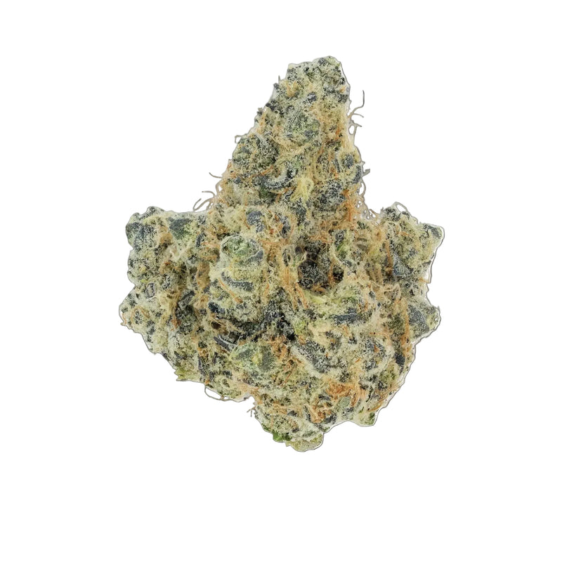 Permanently Tropical - Top Shelf Indoor