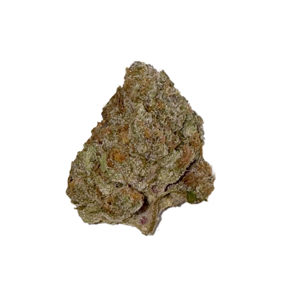 Tropicana - Premium Flower
