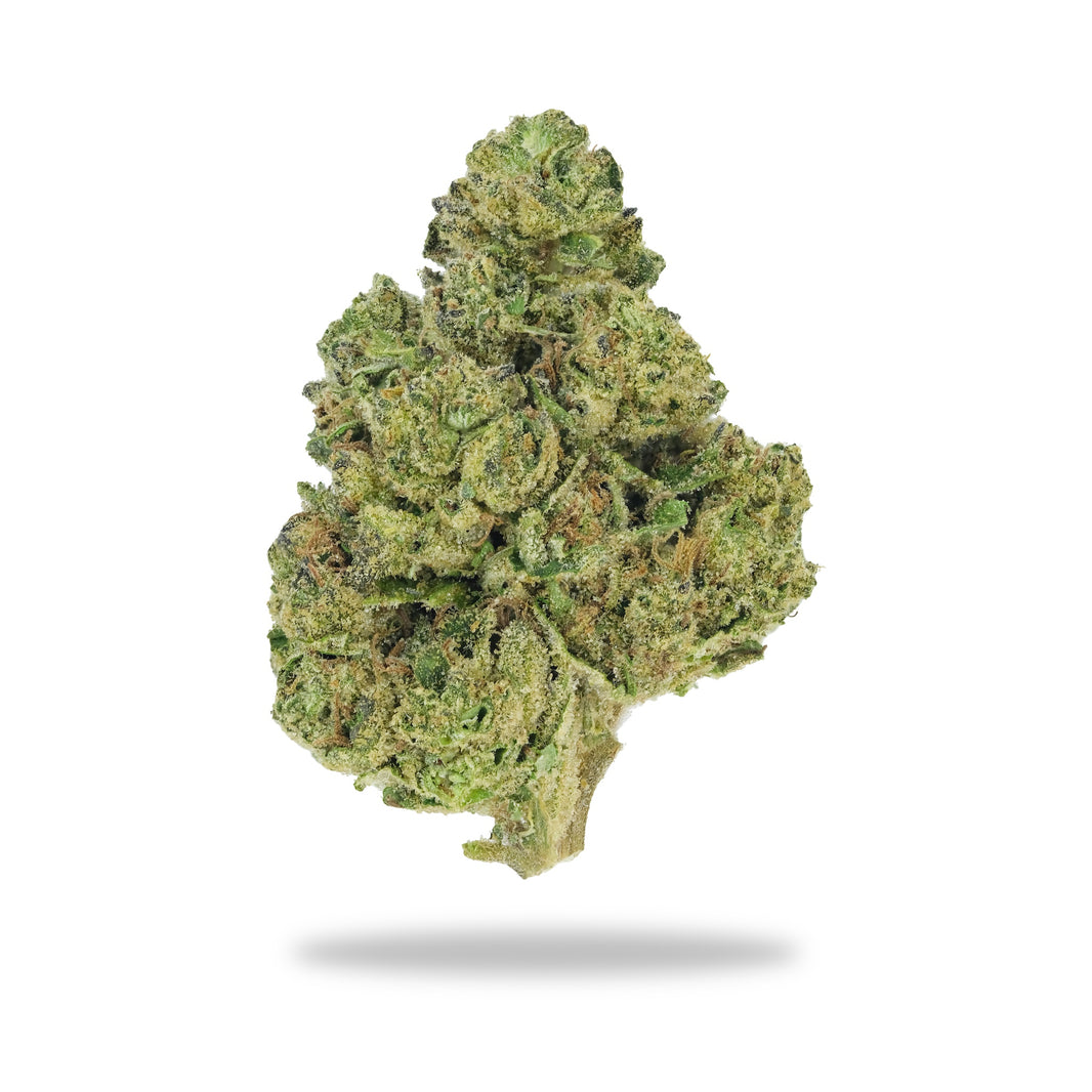 White Truffle - Premium Flower