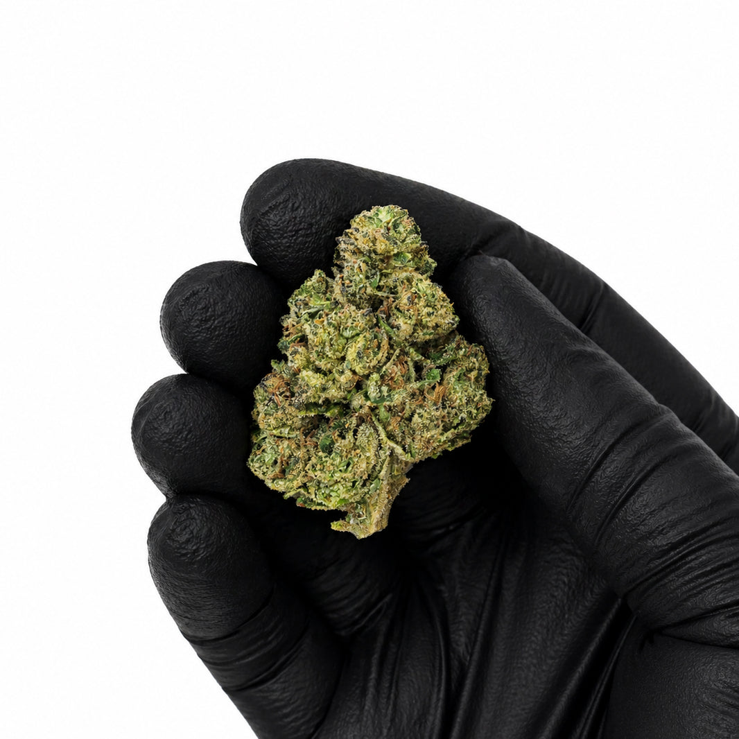 White Truffle - Premium Flower