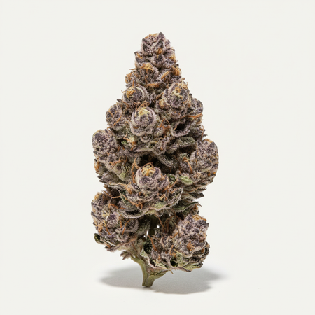 Different shaped indoor nug