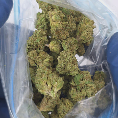 White Truffle Smalls Half Ounce & Ounce Deal