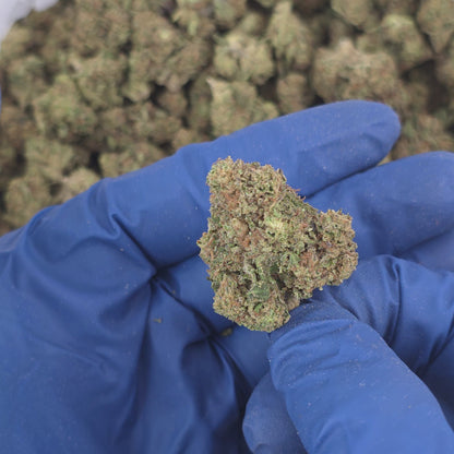 Gusherz - Premium Flower