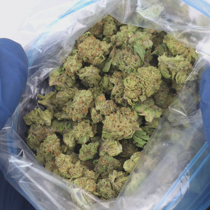 Key Lime Pie Smalls Half Ounce & Ounce Deal