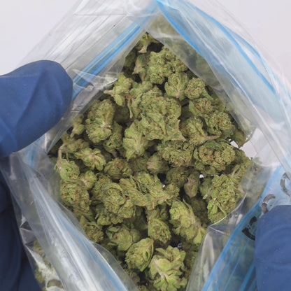 Lemon Cherry Gelato Smalls Half Ounce & Ounce Deal